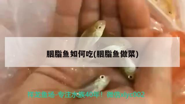 胭脂鱼如何吃(胭脂鱼做菜) 观赏鱼