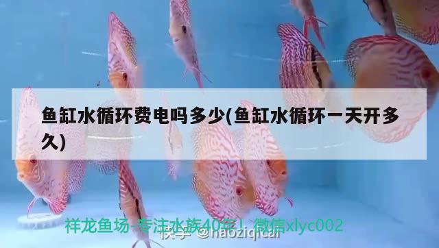 鱼缸水循环费电吗多少(鱼缸水循环一天开多久) 其它水族用具设备