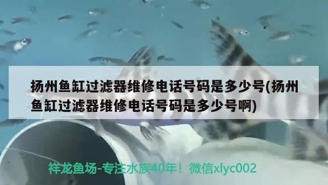 扬州鱼缸过滤器维修电话号码是多少号(扬州鱼缸过滤器维修电话号码是多少号啊)