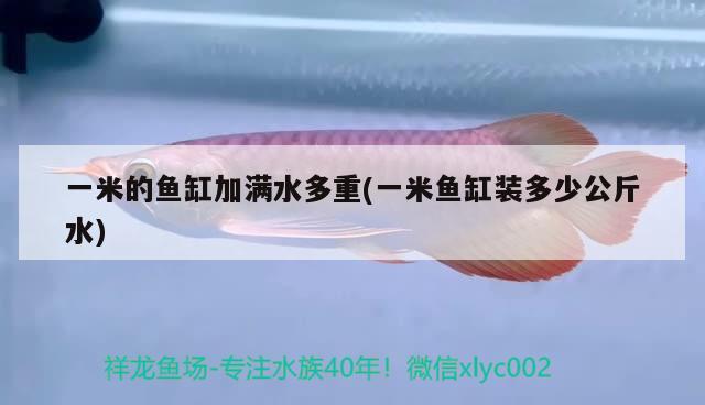 一米的鱼缸加满水多重(一米鱼缸装多少公斤水) 2024第28届中国国际宠物水族展览会CIPS（长城宠物展2024 CIPS）