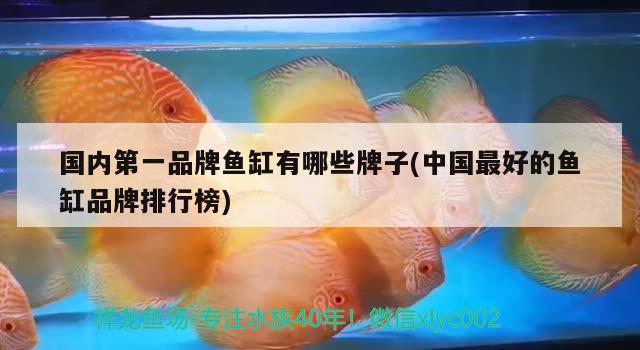 国内第一品牌鱼缸有哪些牌子(中国最好的鱼缸品牌排行榜) 黑白双星