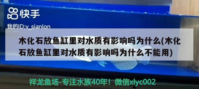 木化石放鱼缸里对水质有影响吗为什么(木化石放鱼缸里对水质有影响吗为什么不能用)