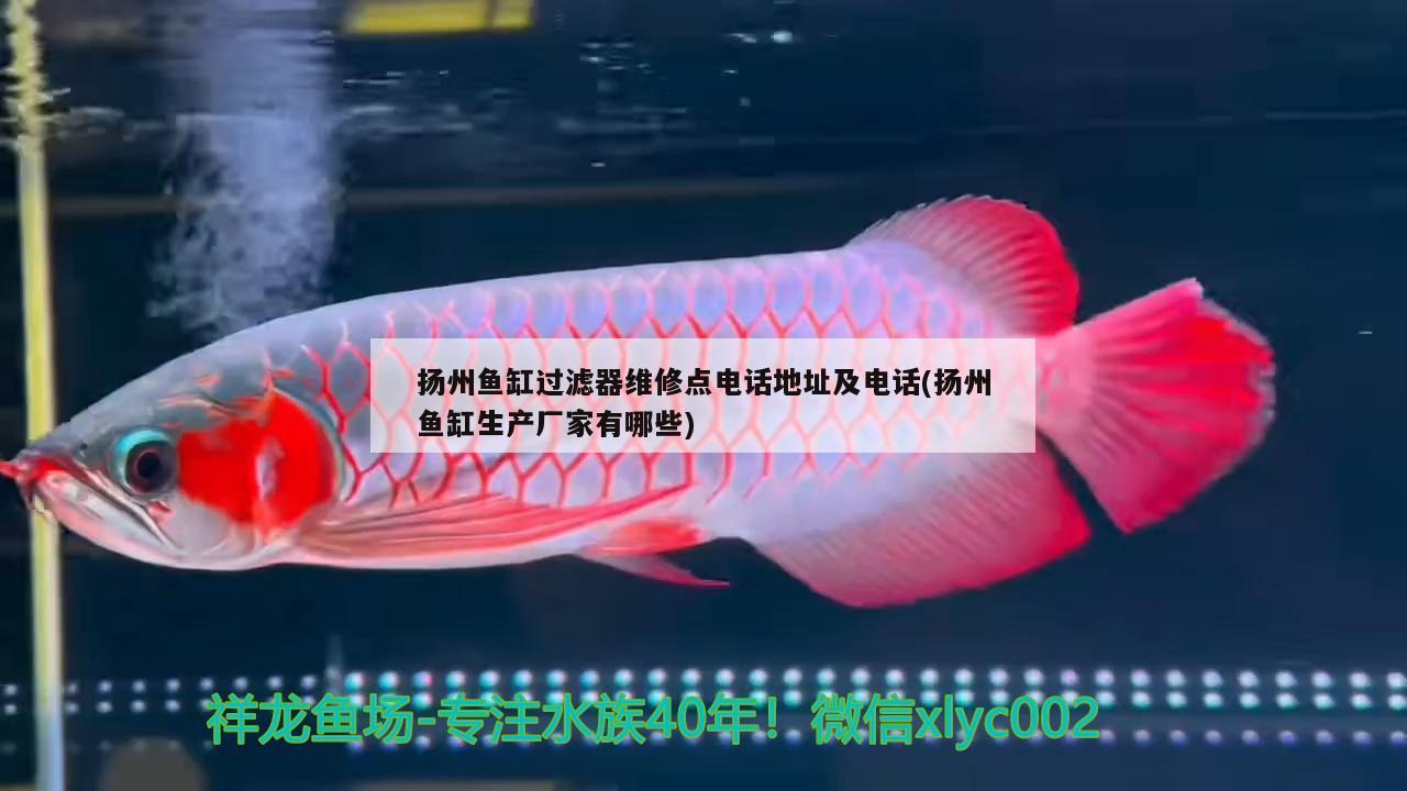 扬州鱼缸过滤器维修点电话地址及电话(扬州鱼缸生产厂家有哪些)