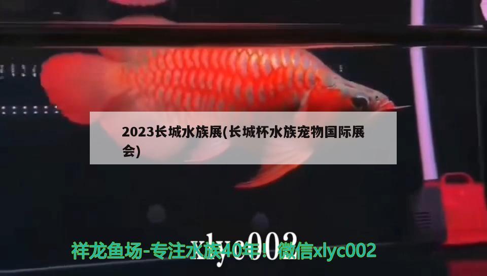 2023长城水族展(长城杯水族宠物国际展会)