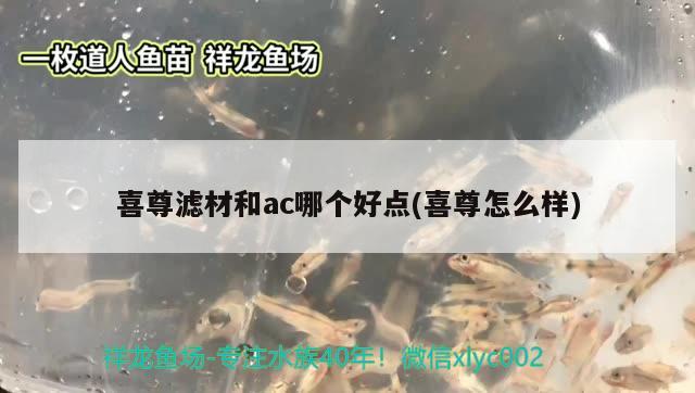 喜尊滤材和ac哪个好点(喜尊怎么样) 2024第28届中国国际宠物水族展览会CIPS（长城宠物展2024 CIPS）