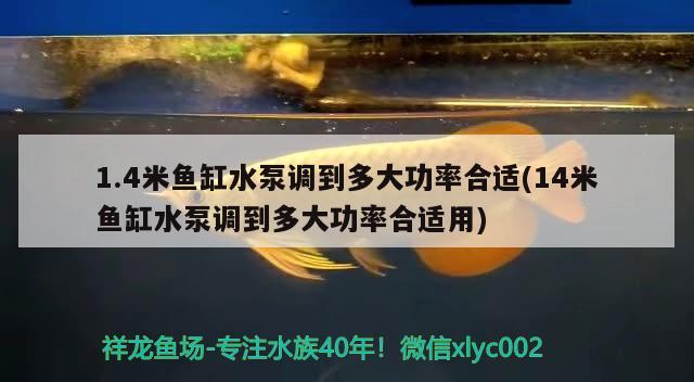 1.4米鱼缸水泵调到多大功率合适(14米鱼缸水泵调到多大功率合适用) 鱼缸水泵