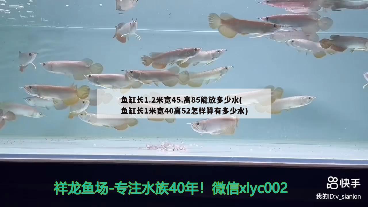 鱼缸长1.2米宽45.高85能放多少水(鱼缸长1米宽40高52怎样算有多少水) 虎鱼百科