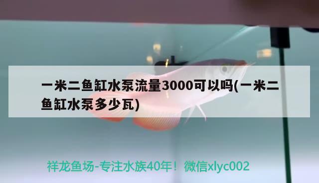 一米二鱼缸水泵流量3000可以吗(一米二鱼缸水泵多少瓦) 鱼缸水泵 第2张