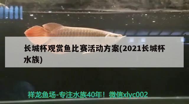 长城杯观赏鱼比赛活动方案(2021长城杯水族) 2024第28届中国国际宠物水族展览会CIPS（长城宠物展2024 CIPS）