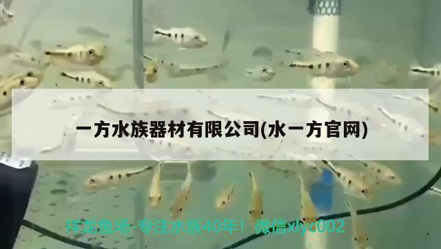 一方水族器材有限公司(水一方官网)