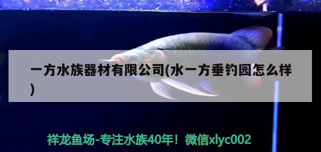 一方水族器材有限公司(水一方垂钓园怎么样) 垂钓乐园