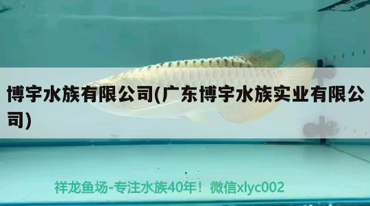 博宇水族有限公司(广东博宇水族实业有限公司)