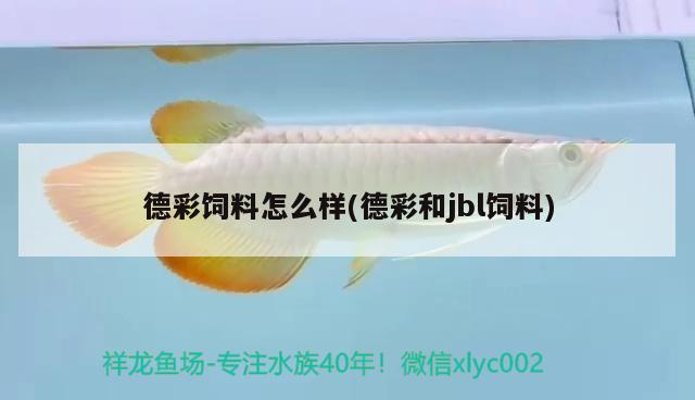 德彩饲料怎么样(德彩和jbl饲料) 2024第28届中国国际宠物水族展览会CIPS（长城宠物展2024 CIPS）