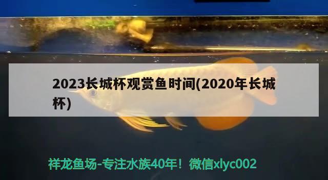 2023长城杯观赏鱼时间(2020年长城杯)