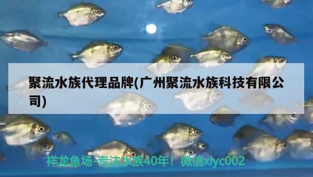 聚流水族代理品牌(广州聚流水族科技有限公司) 2024第28届中国国际宠物水族展览会CIPS（长城宠物展2024 CIPS）