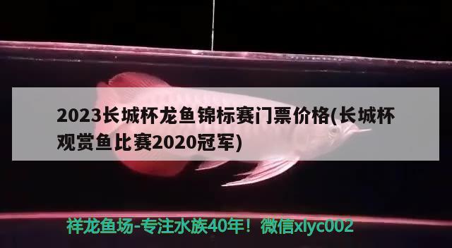 2023长城杯龙鱼锦标赛门票价格(长城杯观赏鱼比赛2020冠军)