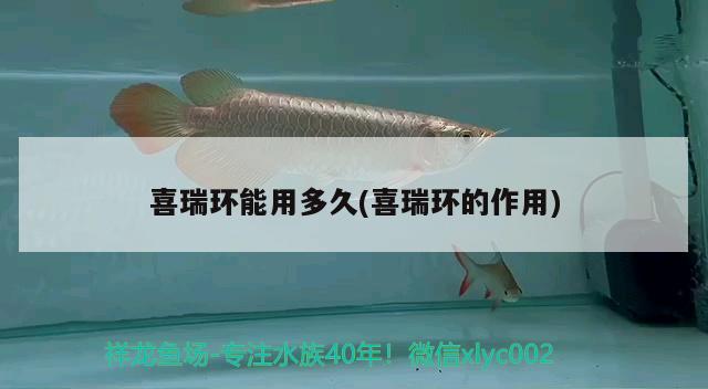 喜瑞环能用多久(喜瑞环的作用) 2024第28届中国国际宠物水族展览会CIPS（长城宠物展2024 CIPS）