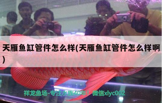 天雁鱼缸管件怎么样(天雁鱼缸管件怎么样啊) 2024第28届中国国际宠物水族展览会CIPS（长城宠物展2024 CIPS）