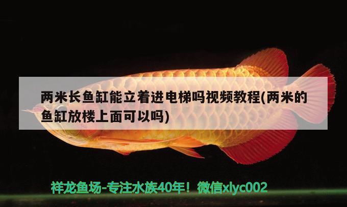 两米长鱼缸能立着进电梯吗视频教程(两米的鱼缸放楼上面可以吗) 过滤设备