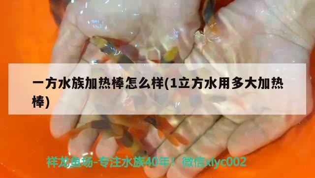 一方水族加热棒怎么样(1立方水用多大加热棒)