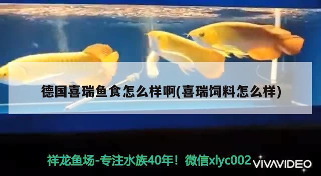 德国喜瑞鱼食怎么样啊(喜瑞饲料怎么样) 2024第28届中国国际宠物水族展览会CIPS（长城宠物展2024 CIPS）