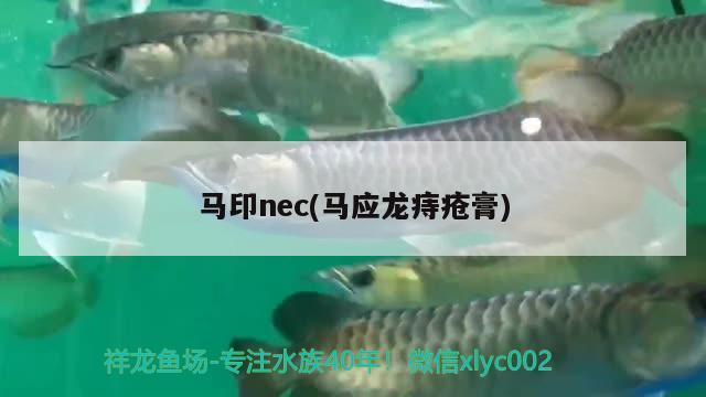 马印nec(马应龙痔疮膏)