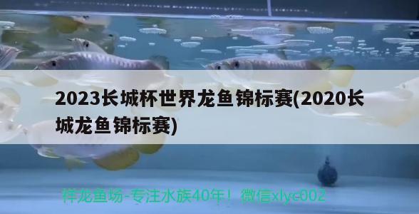 2023长城杯世界龙鱼锦标赛(2020长城龙鱼锦标赛)