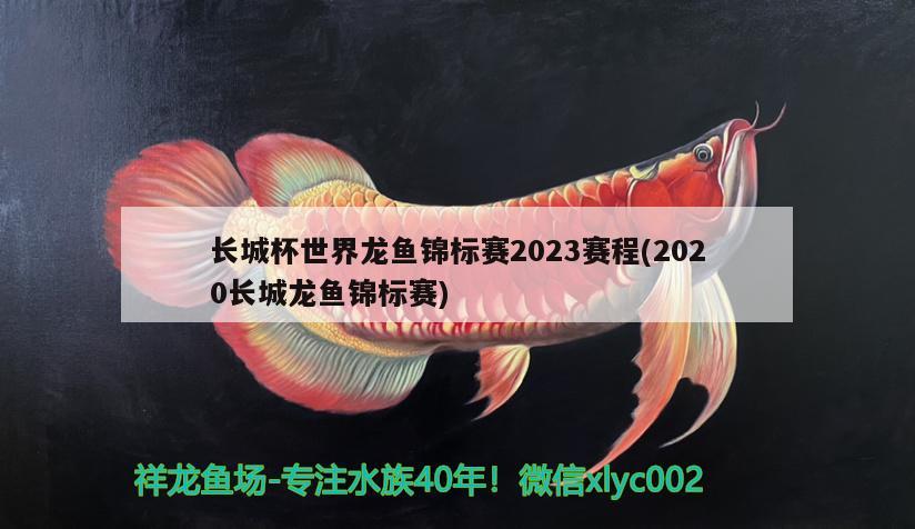 长城杯世界龙鱼锦标赛2023赛程(2020长城龙鱼锦标赛) 2024第28届中国国际宠物水族展览会CIPS（长城宠物展2024 CIPS）