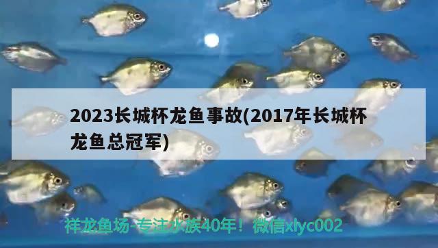 2023长城杯龙鱼事故(2017年长城杯龙鱼总冠军)