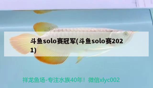 斗鱼solo赛冠军(斗鱼solo赛2021)