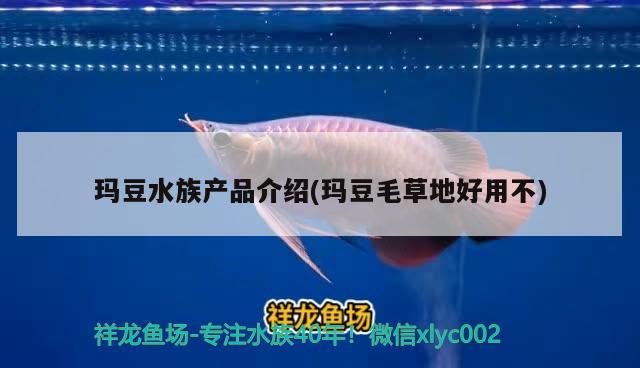 玛豆水族产品介绍(玛豆毛草地好用不) 2024第28届中国国际宠物水族展览会CIPS（长城宠物展2024 CIPS）