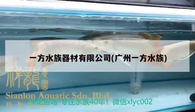 一方水族器材有限公司(广州一方水族) 一方水族