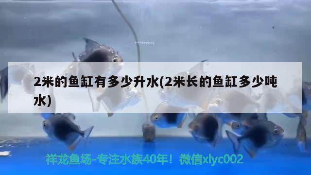 2米的鱼缸有多少升水(2米长的鱼缸多少吨水) 养鱼知识