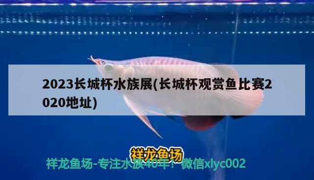 2023长城杯水族展(长城杯观赏鱼比赛2020地址)