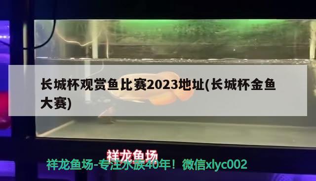 长城杯观赏鱼比赛2023地址(长城杯金鱼大赛)