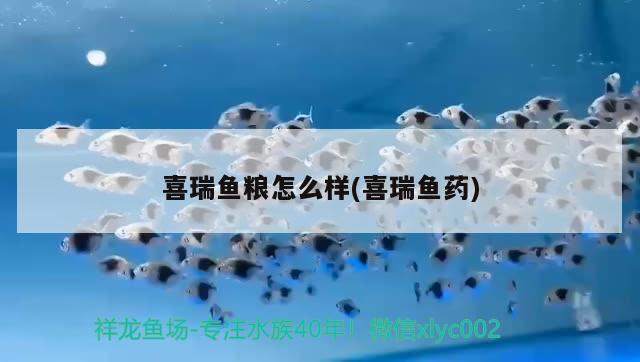 喜瑞鱼粮怎么样(喜瑞鱼药) 2024第28届中国国际宠物水族展览会CIPS（长城宠物展2024 CIPS）