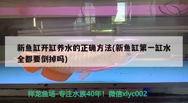 新鱼缸开缸养水的正确方法(新鱼缸第一缸水全都要倒掉吗) 观赏鱼