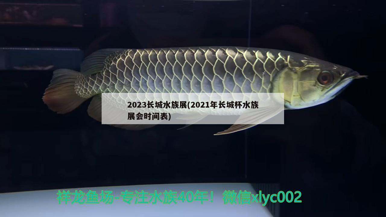 2023长城水族展(2021年长城杯水族展会时间表)