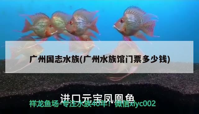 广州国志水族(广州水族馆门票多少钱)