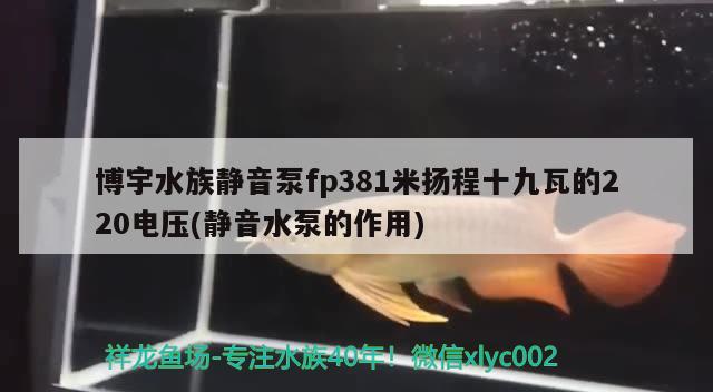 博宇水族静音泵fp381米扬程十九瓦的220电压(静音水泵的作用) 2024第28届中国国际宠物水族展览会CIPS（长城宠物展2024 CIPS）