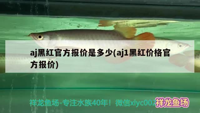 aj黑红官方报价是多少(aj1黑红价格官方报价)