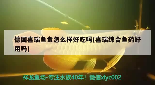 德国喜瑞鱼食怎么样好吃吗(喜瑞综合鱼药好用吗) 2024第28届中国国际宠物水族展览会CIPS（长城宠物展2024 CIPS）