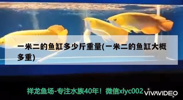 一米二的鱼缸多少斤重量(一米二的鱼缸大概多重) 水族用品