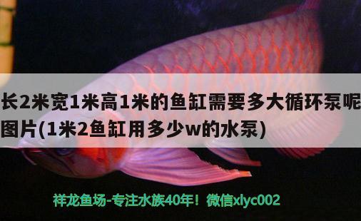 长2米宽1米高1米的鱼缸需要多大循环泵呢图片(1米2鱼缸用多少w的水泵)