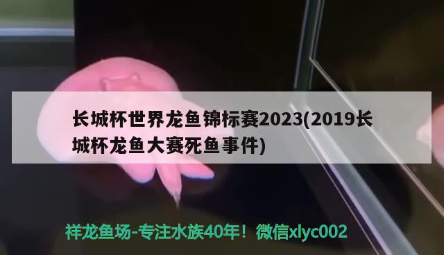 长城杯世界龙鱼锦标赛2023(2019长城杯龙鱼大赛死鱼事件)