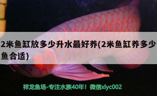 2米鱼缸放多少升水最好养(2米鱼缸养多少鱼合适) 水族世界