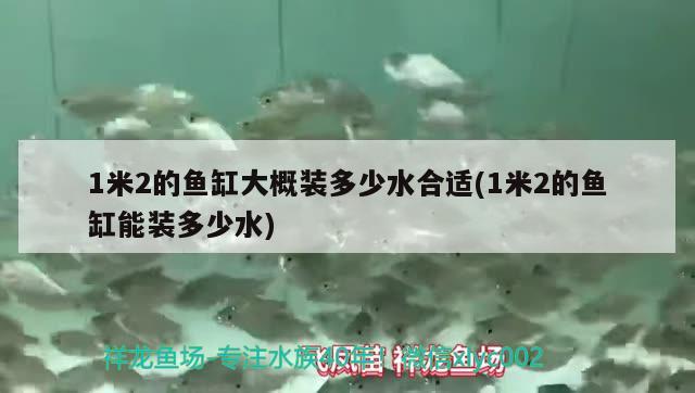 1米2的鱼缸大概装多少水合适(1米2的鱼缸能装多少水) 眼斑鱼