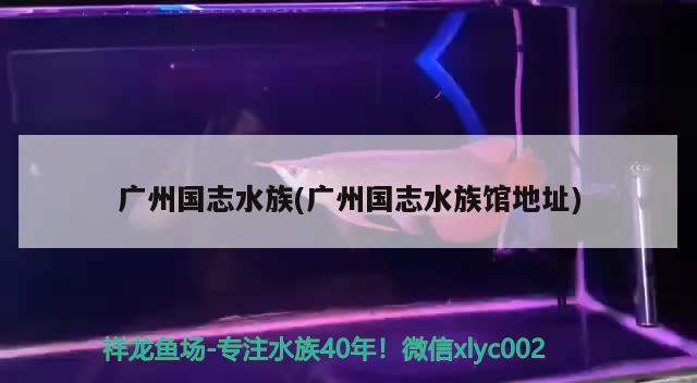 广州国志水族(广州国志水族馆地址) 2024第28届中国国际宠物水族展览会CIPS（长城宠物展2024 CIPS）