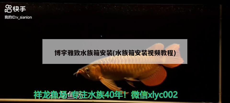 博宇雅致水族箱安装(水族箱安装视频教程)