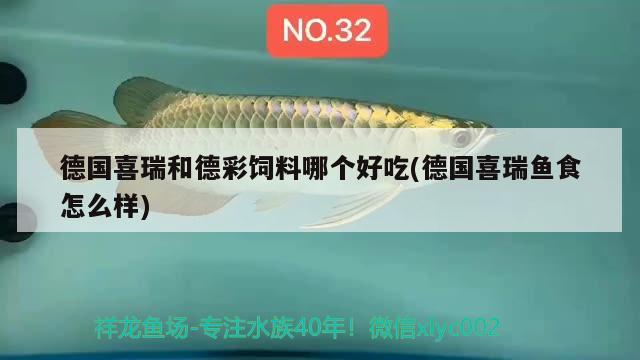 德国喜瑞和德彩饲料哪个好吃(德国喜瑞鱼食怎么样) 2024第28届中国国际宠物水族展览会CIPS（长城宠物展2024 CIPS）